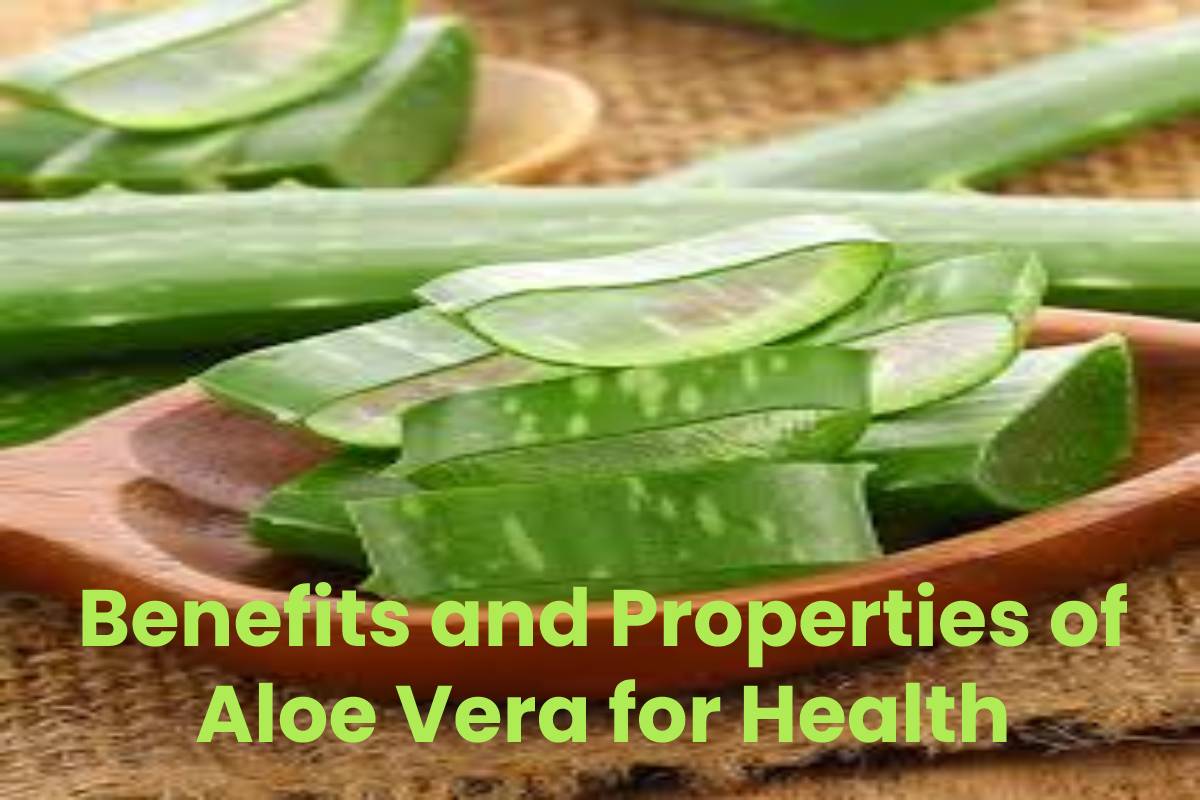 Benefits and Properties of Aloe Vera for Health - The Who Blog