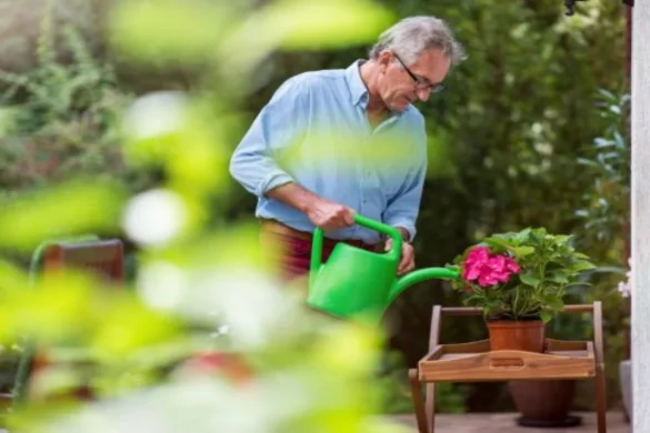 Hobbies That Seniors Can Try For The First Time`