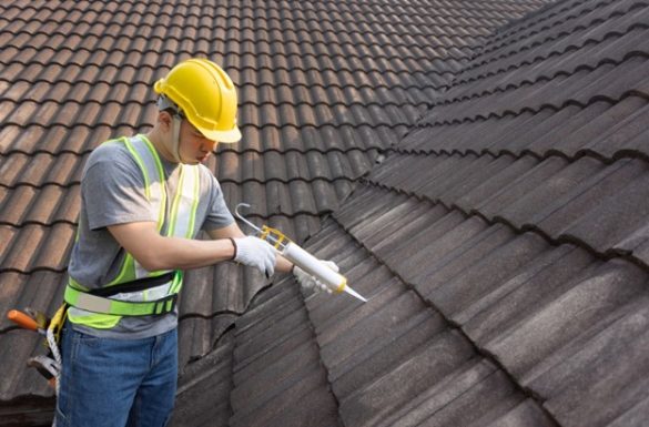 Roofing Maintenance